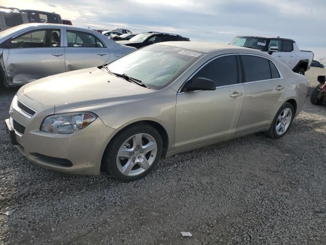 1G1ZA5EU5BF338001 - 2011 CHEVROLET MALIBU LS GOLD photo 1