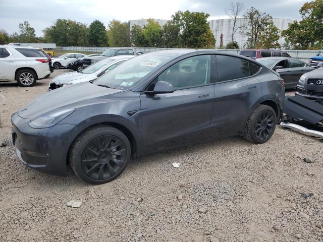 2025 TESLA MODEL Y, 