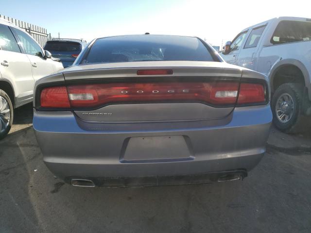 2C3CDXBG1EH187969 - 2014 DODGE CHARGER SE SILVER photo 6