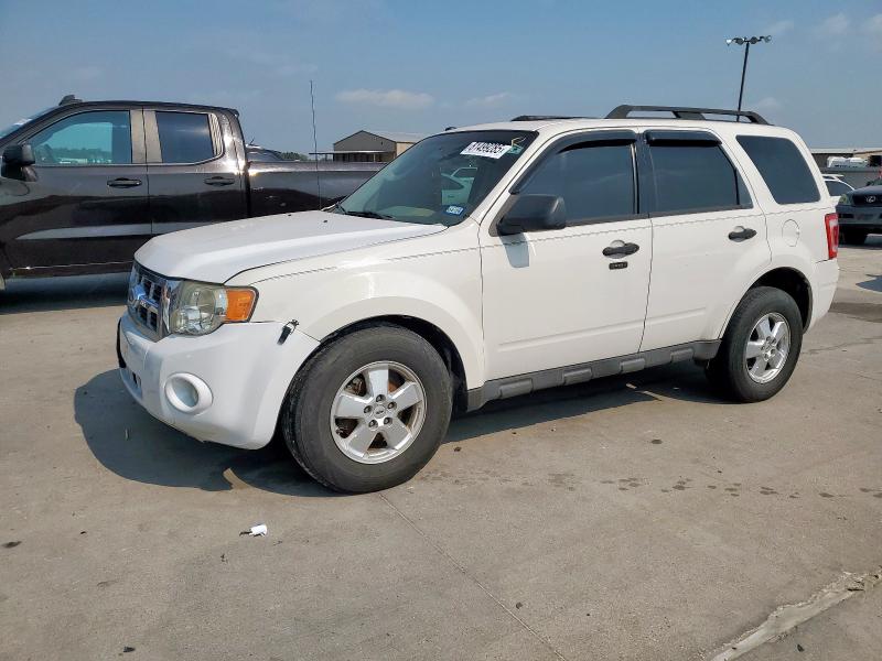2011 FORD ESCAPE XLT, 