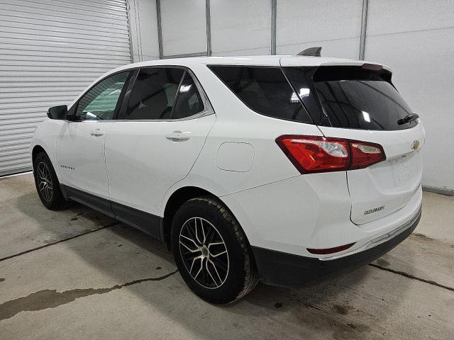 3GNAXKEV6KS650034 - 2019 CHEVROLET EQUINOX LT Weiß Foto 2