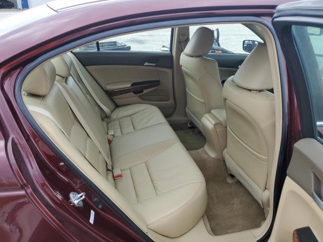 1HGCP36878A009938 - 2008 HONDA ACCORD EXL Bordo foto 10