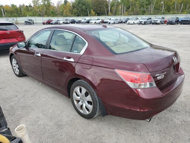 1HGCP36878A009938 - 2008 HONDA ACCORD EXL Bordo foto 2