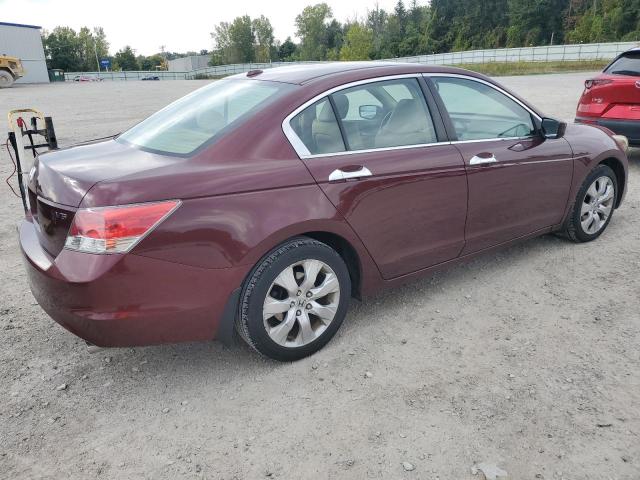 1HGCP36878A009938 - 2008 HONDA ACCORD EXL Bordo foto 3