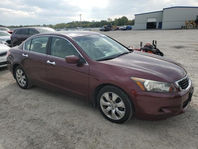1HGCP36878A009938 - 2008 HONDA ACCORD EXL Bordo foto 4