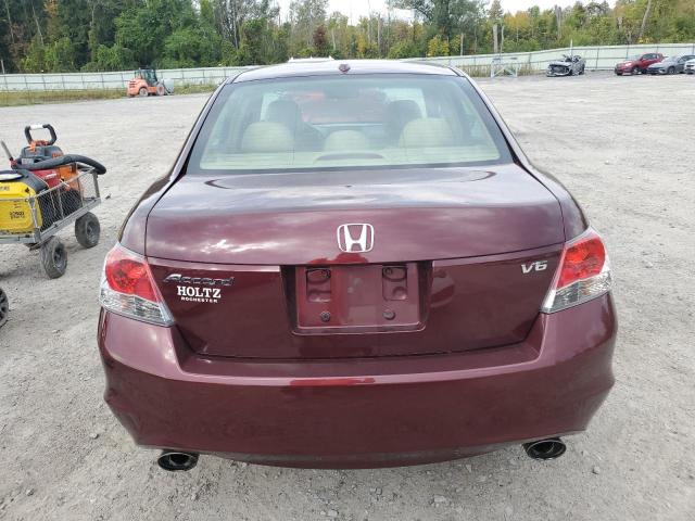 1HGCP36878A009938 - 2008 HONDA ACCORD EXL Bordo foto 6