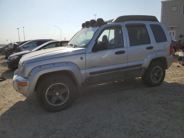 2004 JEEP LIBERTY RENEGADE, 