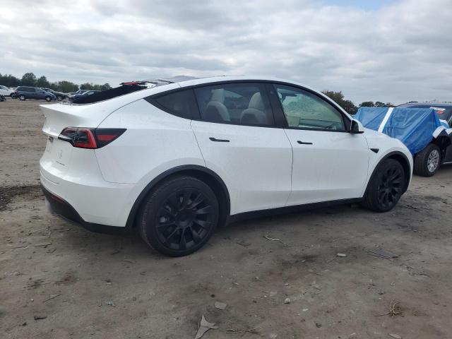 5YJYGDEE0MF068056 - 2021 TESLA MODEL Y WHITE photo 3