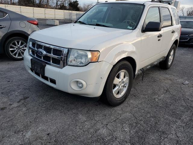 2010 FORD ESCAPE XLT, 