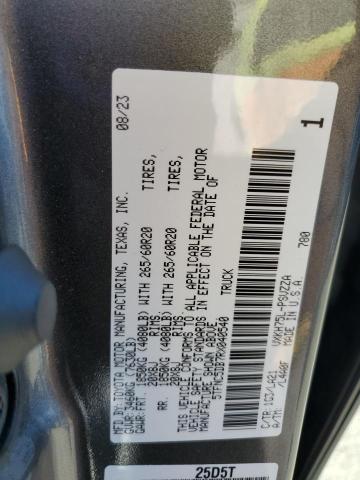 5TFNC5DB7RX040540 - 2024 TOYOTA TUNDRA CREWMAX PLATINUM Grau Foto 13