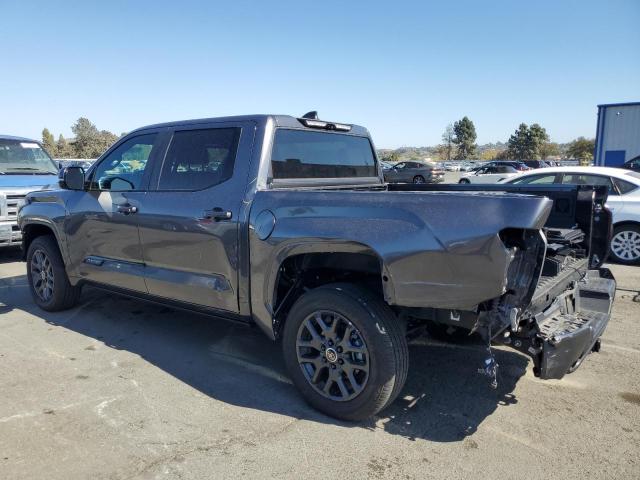 5TFNC5DB7RX040540 - 2024 TOYOTA TUNDRA CREWMAX PLATINUM Grau Foto 2