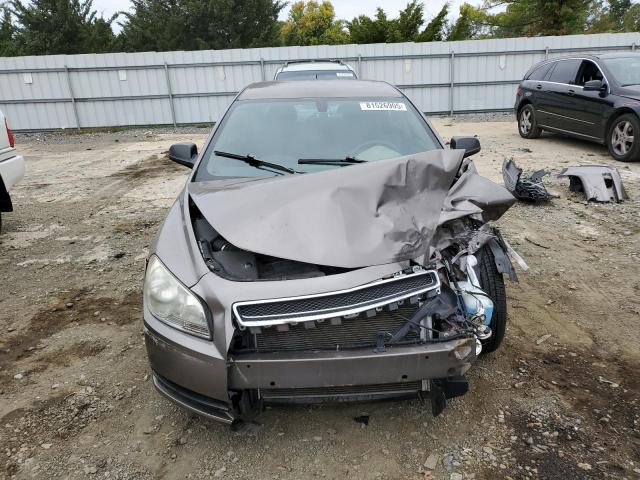 1G1ZB5EB8AF194146 - 2010 CHEVROLET MALIBU LS ყავისფერი ფოტო 5