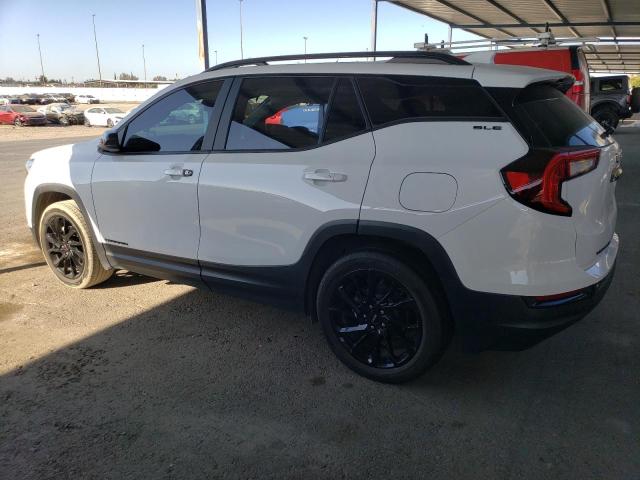 3GKALMEG8PL115942 - 2023 GMC TERRAIN SLE 白色 照片 2