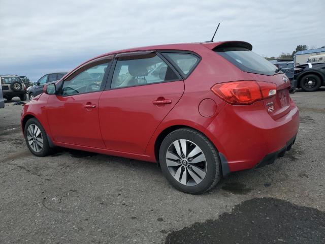 KNAFU5A20D5681181 - 2013 KIA FORTE EX RED photo 2