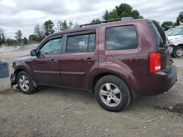 5FNYF4H5XAB009137 - 2010 HONDA PILOT EXL 勃艮第红 照片 2