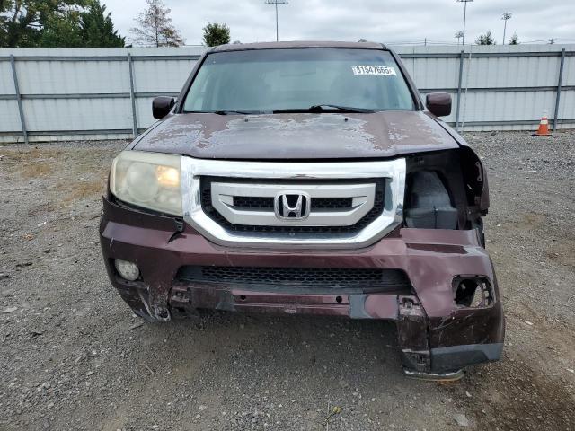 5FNYF4H5XAB009137 - 2010 HONDA PILOT EXL 勃艮第红 照片 5