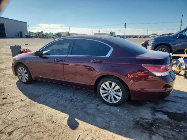 1HGCP2F82BA057932 - 2011 HONDA ACCORD EXL Марун фото 2