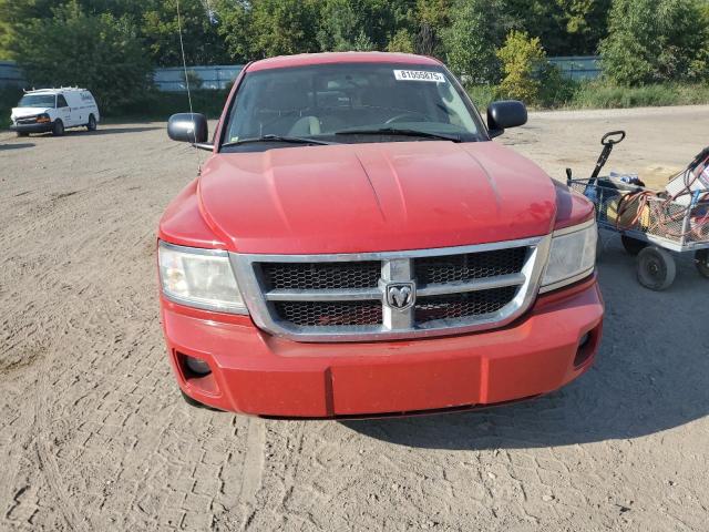 1D7HW48N68S594205 - 2008 DODGE DAKOTA QUAD SLT Rot Foto 5