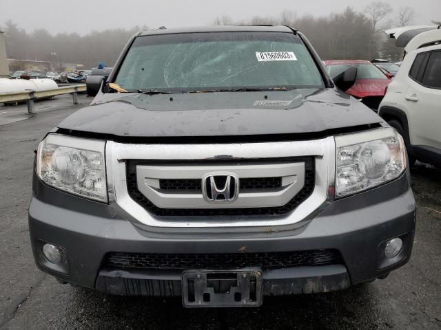 5FNYF4H75BB092513 - 2011 HONDA PILOT EXLN GRAY photo 5