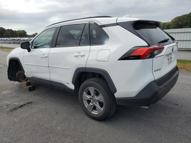 2T3LWRFV7RW235149 - 2024 TOYOTA RAV4 LE WHITE photo 2