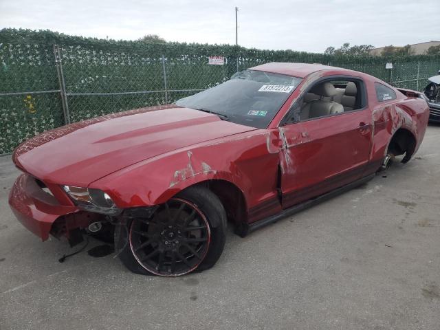 1ZVBP8AM1C5220353 - 2012 FORD MUSTANG RED photo 1