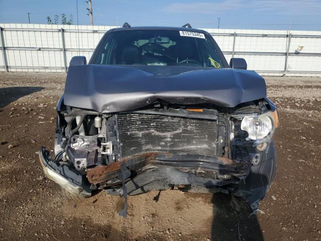 1FMCU04G49KA52463 - 2009 FORD ESCAPE LIMITED GRAY photo 5