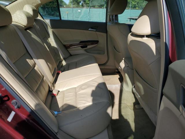1HGCP26859A090451 - 2009 HONDA ACCORD EXL 红色 照片 10