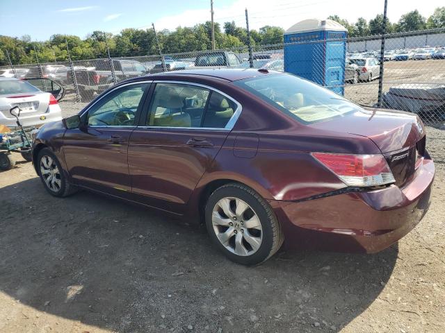 1HGCP26859A090451 - 2009 HONDA ACCORD EXL 红色 照片 2