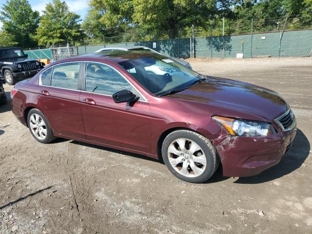 1HGCP26859A090451 - 2009 HONDA ACCORD EXL 红色 照片 4