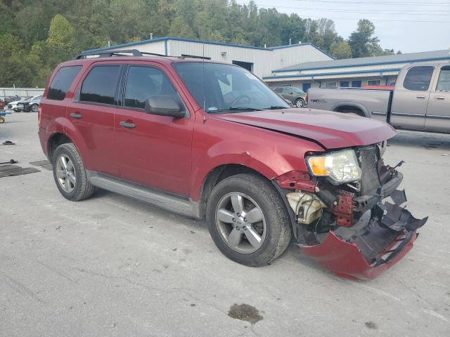 1FMCU9D7XCKB01127 - 2012 FORD ESCAPE XLT წითელი ფოტო 4