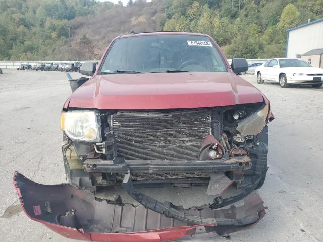 1FMCU9D7XCKB01127 - 2012 FORD ESCAPE XLT წითელი ფოტო 5