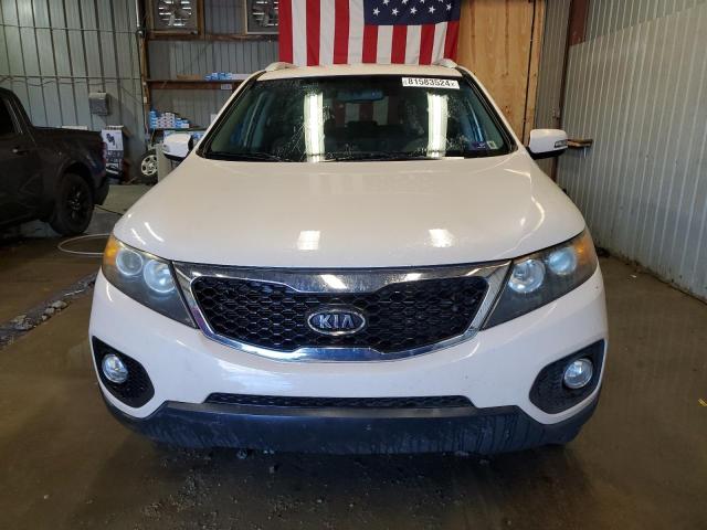 5XYKTCA18BG075292 - 2011 KIA SORENTO BASE CREAM photo 5