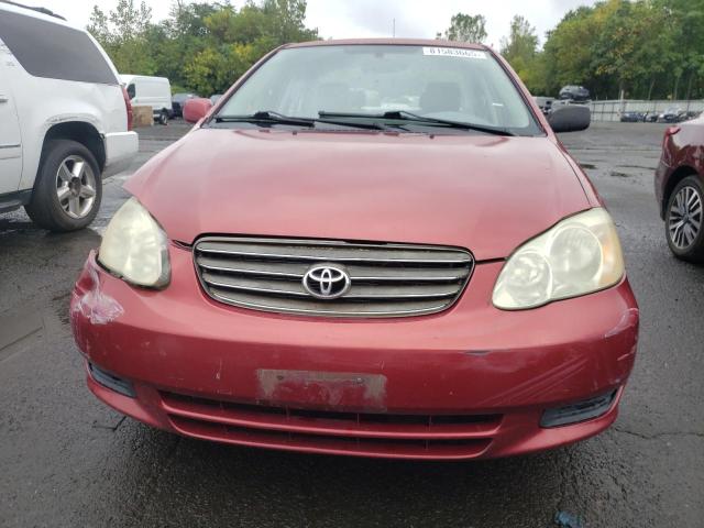 JTDBR32E832013385 - 2003 TOYOTA COROLLA CE 红色 照片 5
