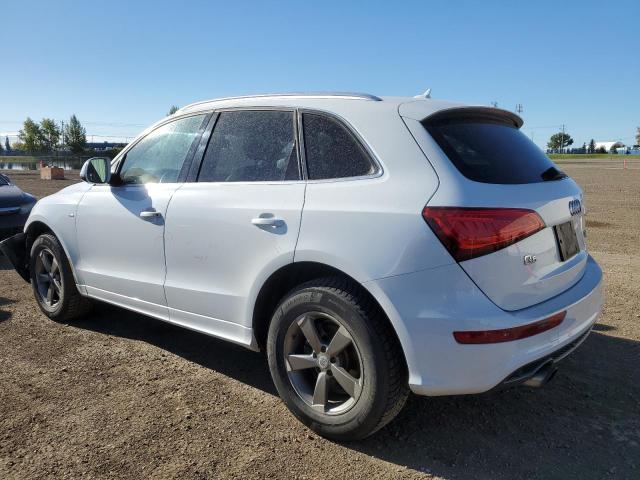 WA1MFCFP9DA005259 - 2013 AUDI Q5 PREMIUM 白色 照片 2