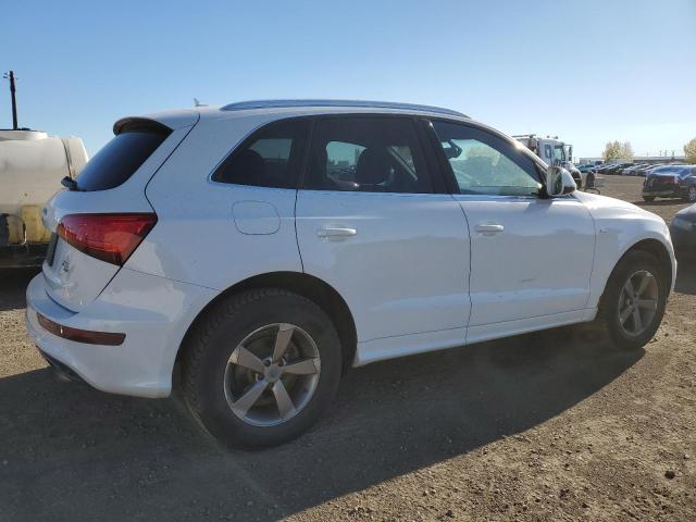 WA1MFCFP9DA005259 - 2013 AUDI Q5 PREMIUM 白色 照片 3