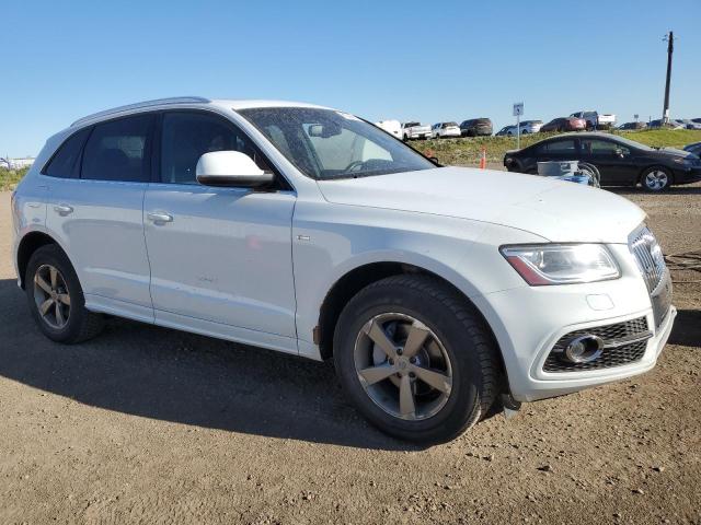 WA1MFCFP9DA005259 - 2013 AUDI Q5 PREMIUM 白色 照片 4