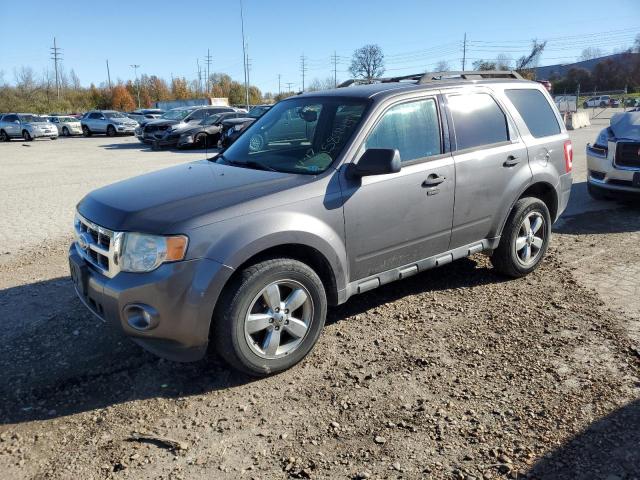 2011 FORD ESCAPE XLT, 