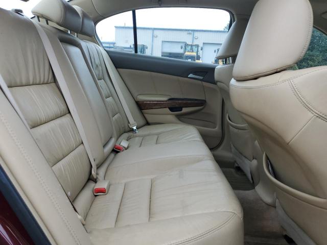 1HGCP36889A019413 - 2009 HONDA ACCORD EXL BURGUNDY photo 10