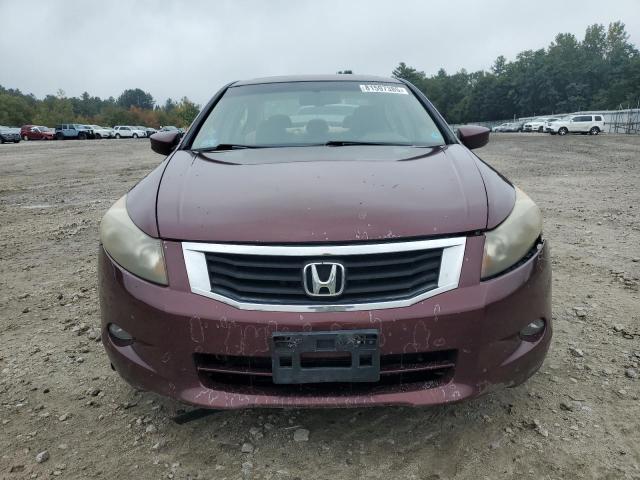 1HGCP36889A019413 - 2009 HONDA ACCORD EXL BURGUNDY photo 5