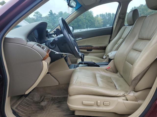 1HGCP36889A019413 - 2009 HONDA ACCORD EXL BURGUNDY photo 7