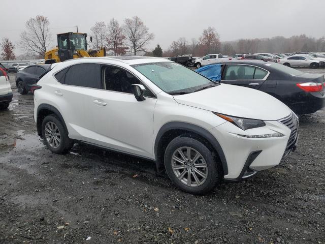 JTJDARDZ4M5020530 - 2021 LEXUS NX 300 BASE 白色 照片 4
