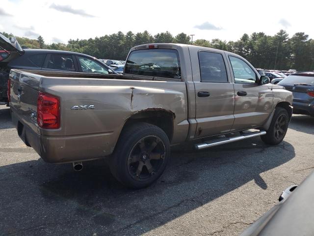 1D7CW3GK5AS104757 - 2010 DODGE DAKOTA SXT TAN photo 3