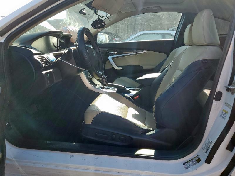 1HGCT1B80DA000613 - 2013 HONDA ACCORD EXL WHITE photo 7