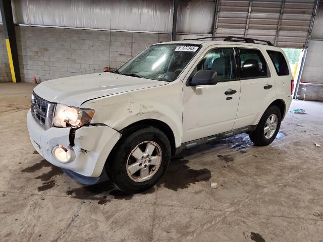 2010 FORD ESCAPE XLT, 