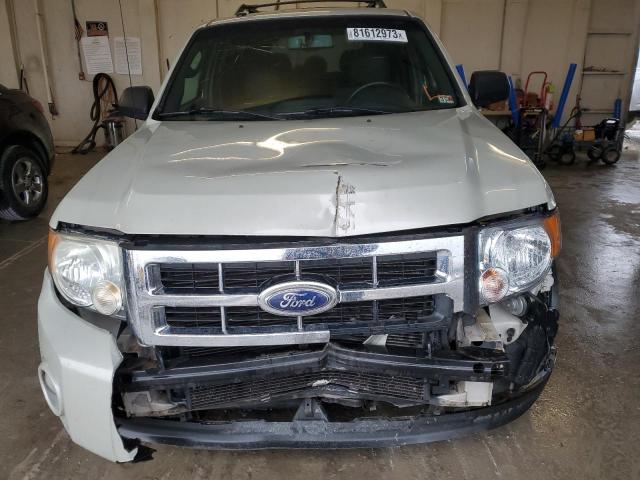 1FMCU03789KA62799 - 2009 FORD ESCAPE XLT TAN photo 5