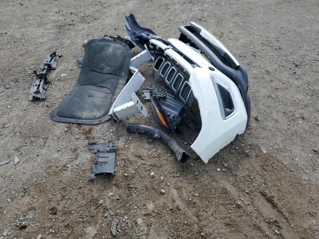 3C4NJDCB8KT647047 - 2019 JEEP COMPASS LIMITED თეთრი ფოტო 13