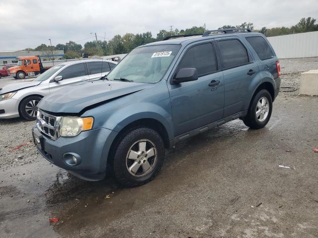 2011 FORD ESCAPE XLT, 