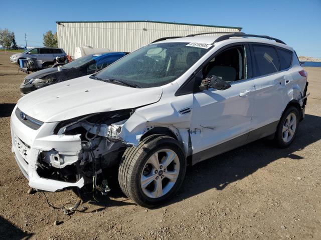 2014 FORD ESCAPE SE, 