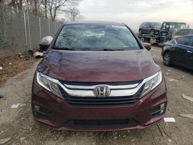 5FNRL6H75KB075252 - 2019 HONDA ODYSSEY EXL MAROON photo 5