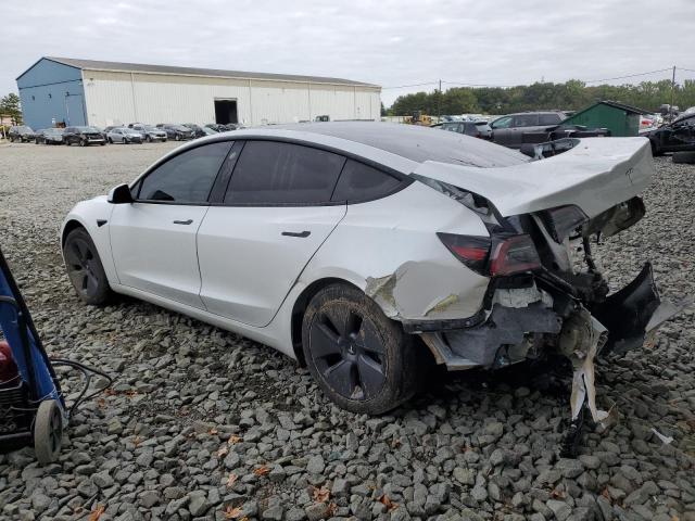 5YJ3E1EB3PF715767 - 2023 TESLA MODEL 3 白色 照片 2